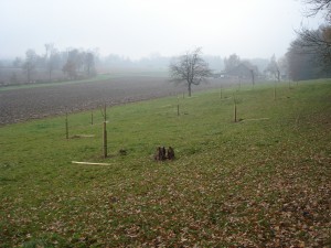 Impressionen
