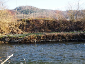 Impressionen